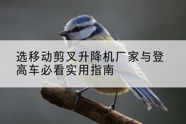 蓝山电动升降机厂家-选移动剪叉升降机厂家与登高车必看实用指南