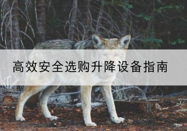 蓝山升降货梯厂家推荐-*安全选购升降设备指南